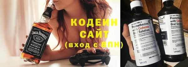 скорость Ельня