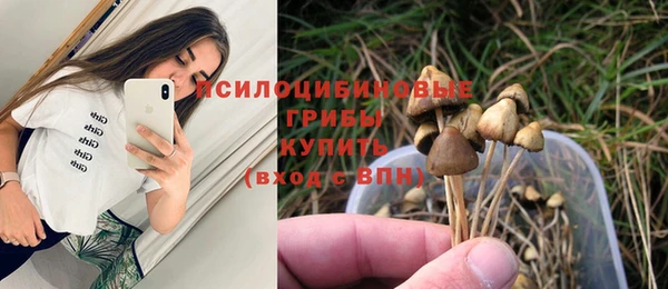 mdpv Заволжск