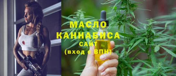 скорость Ельня