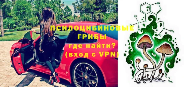 ALPHA-PVP Елизово