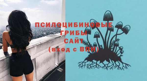 ALPHA-PVP Елизово
