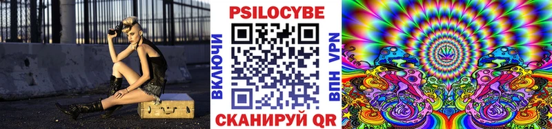 Галлюциногенные грибы Cubensis  это клад  Славгород 