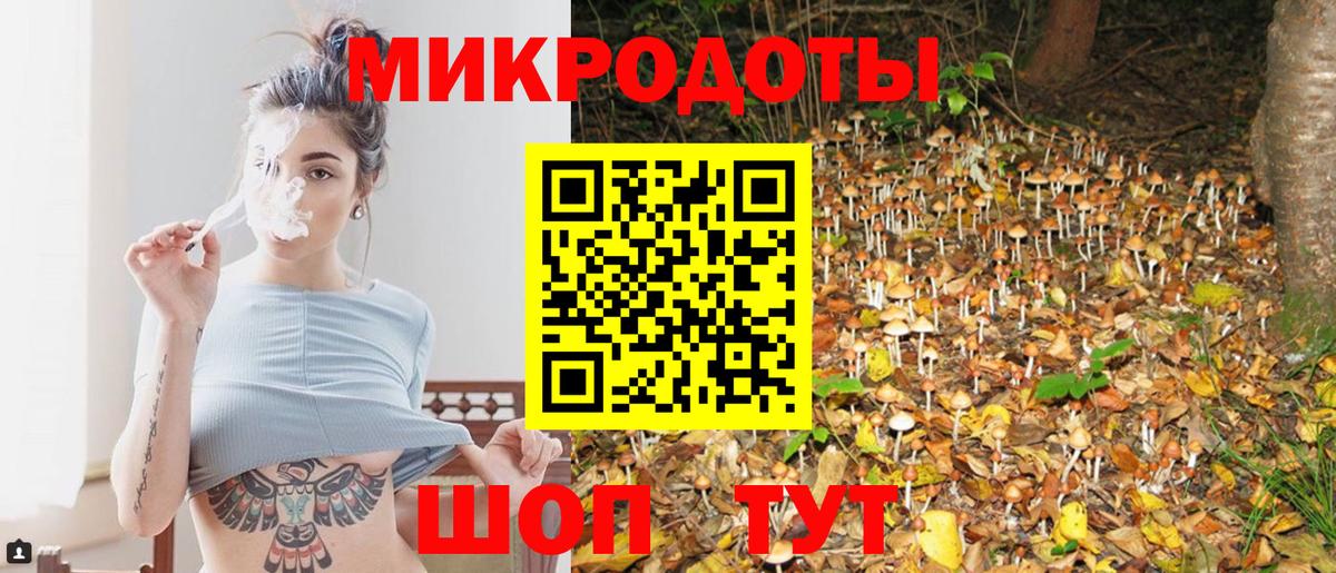 Псилоцибиновые грибы Cubensis  Славгород 