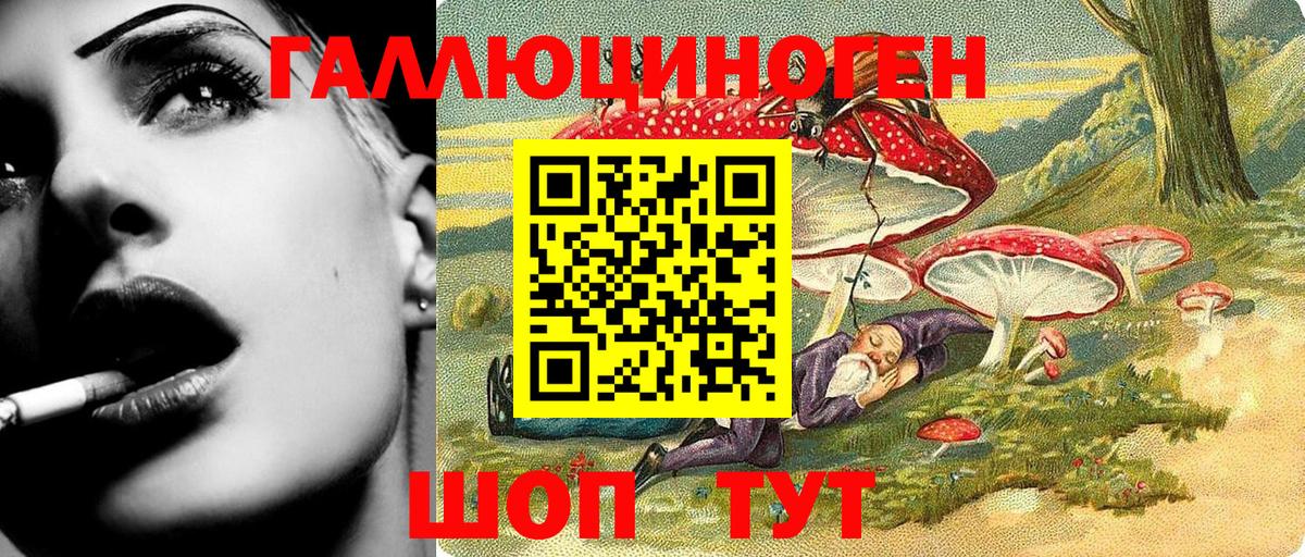 Галлюциногенные грибы Psilocybine cubensis Славгород