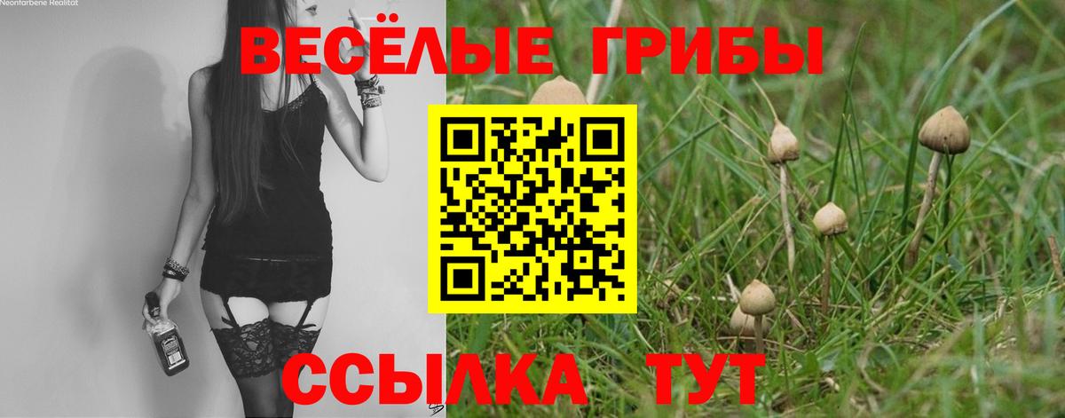 Галлюциногенные грибы прущие грибы Славгород